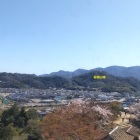 ⑨	彦根城より眺めた佐和山