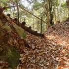 城郭北側の堀切