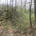 堀跡の右を眺める