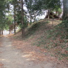 ３．画像の堀の中央辺り、右は主郭