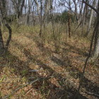 標識より先のピーク、旧天王山城跡の中心か？