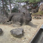 山頂の露頭岩で彫られた牛の石像