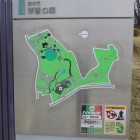 学習の森、案内