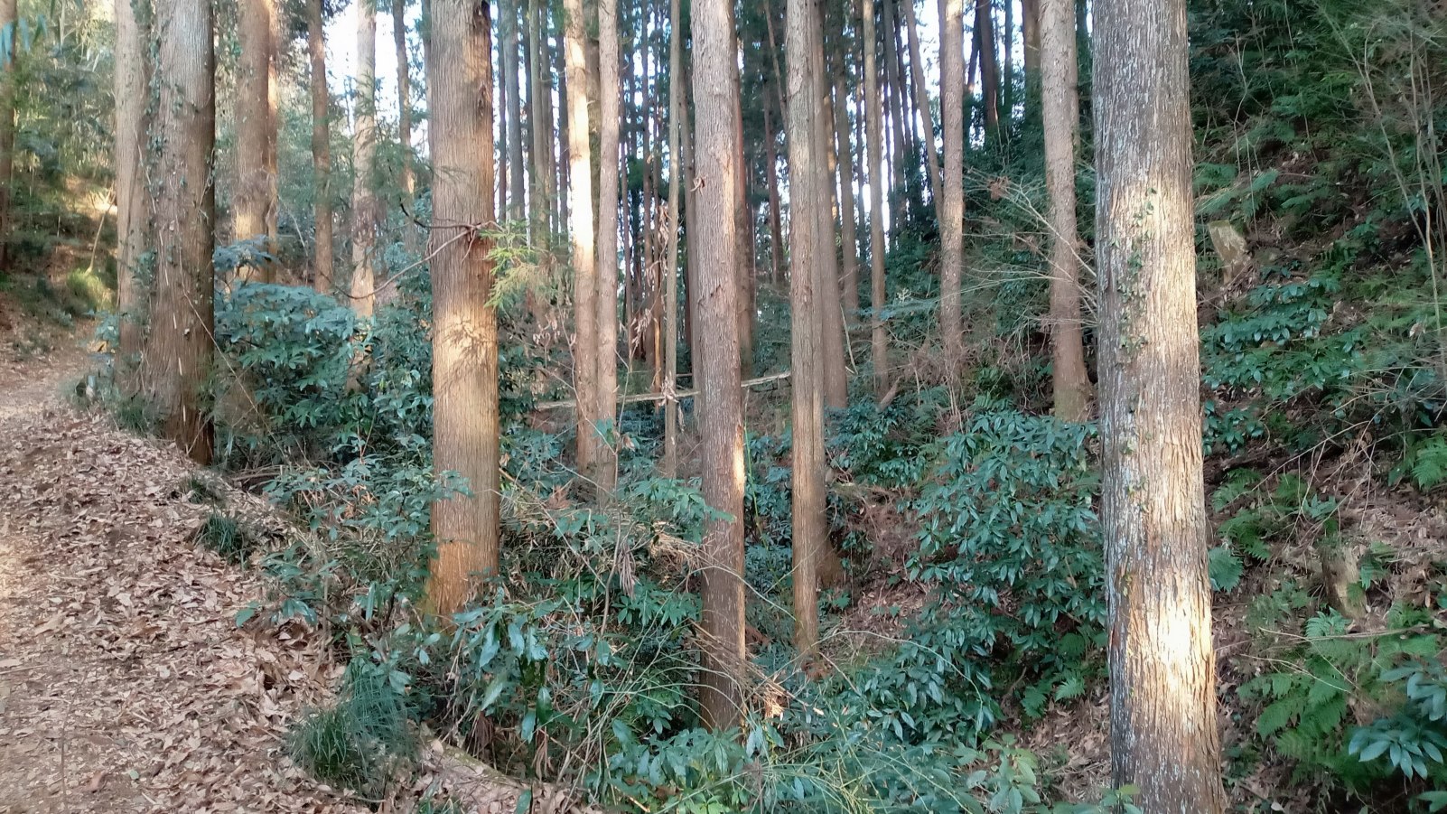 二重堀切（２条目）