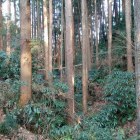 二重堀切（２条目）