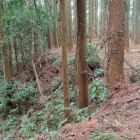 竪堀（本郭の虎口付近から撮影）