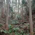 竪堀（下側から）