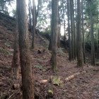 主郭西側切岸（写真左側が主郭）