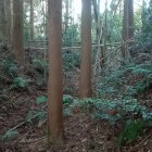 二重堀切（１条目）