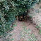 主郭南西側虎口（ここから②の主郭西側に行けます）