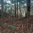 本郭　北東側　横堀