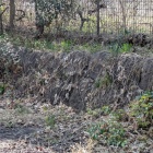 植え込み奥の石垣