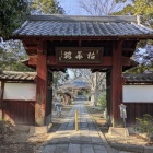 清善寺(城主の弟のゆかりの寺院)