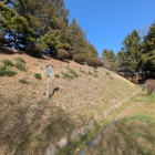 本丸土塁(博物館南西)