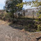 植え込み奥の石垣