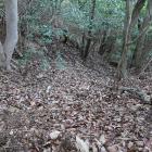 尾根筋から東に落ちる竪堀