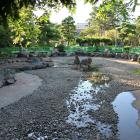 白山公園・ひょうたん池