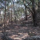 北曲輪と主郭切岸