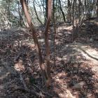 北曲輪西下段の三つの窪み