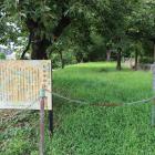 本郭跡。城址碑と説明板も