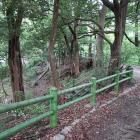 山科中央公園の土塁の上