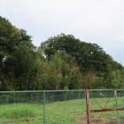 山科本願寺南殿の土塁