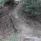 土橋。石積は後世のもの？