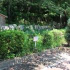 伏見城石垣石による再現石垣（桃山東小学校）