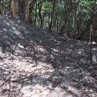 主郭北西面の竪堀