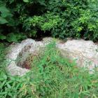 豊公遺愛の亀の手洗鉢