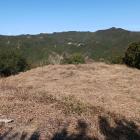 主郭から二段目の曲輪を&hellip;ススキがない！？