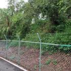 史跡公園から北に続く土塁