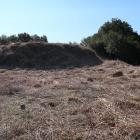 三段目の曲輪。西辺（右側）に土塁と虎口