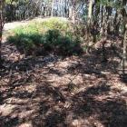 主郭の謎の窪み