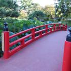 白山公園・はす池