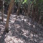 主郭西面の腰曲輪