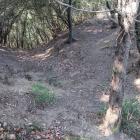 西尾根の堀切から続く竪堀