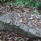 北参道沿いの伏見城石垣の石材