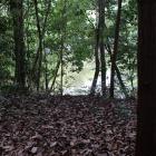 治部池（内堀の一部）