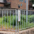 桃山町金森出雲