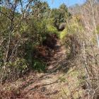 登城道。問題なく通れる！