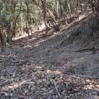 主郭北東面の竪堀