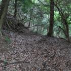 二重横堀西面の帯曲輪