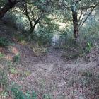 北西面の連続竪堀