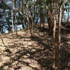 主郭北端から西下に落ちる竪土塁