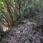 グーグルマップのマーカー付近の主郭切岸