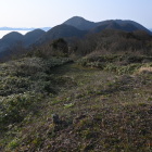 この窪みはなんだろう