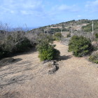 展望台より主郭