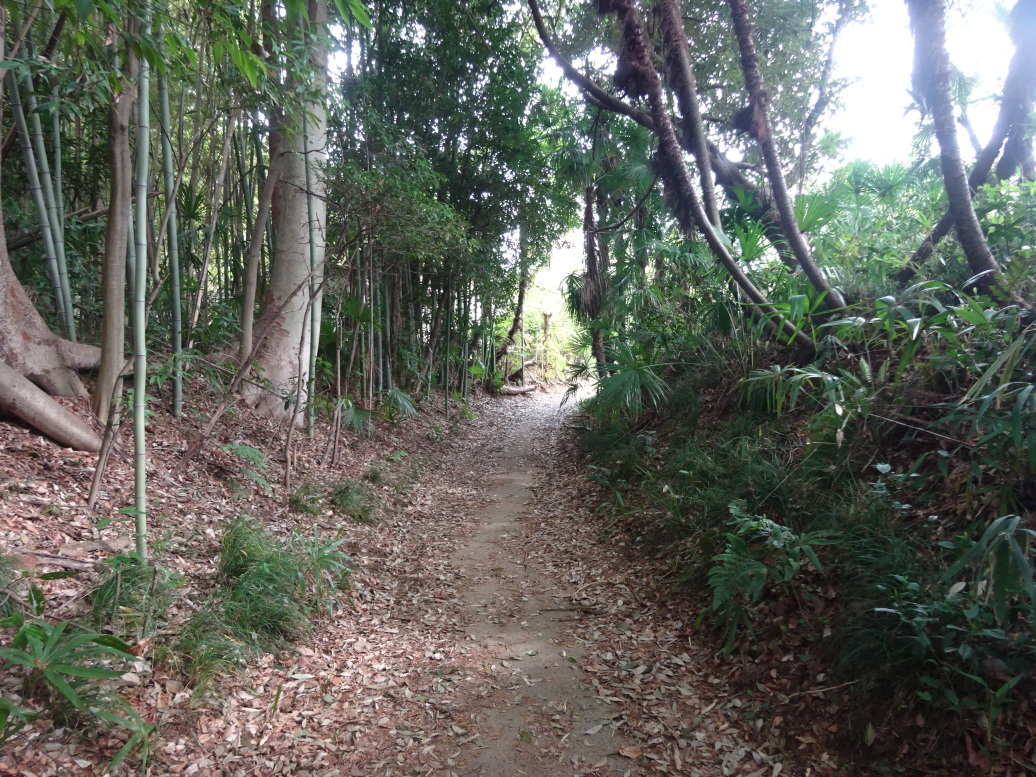 主郭ー二郭間空堀