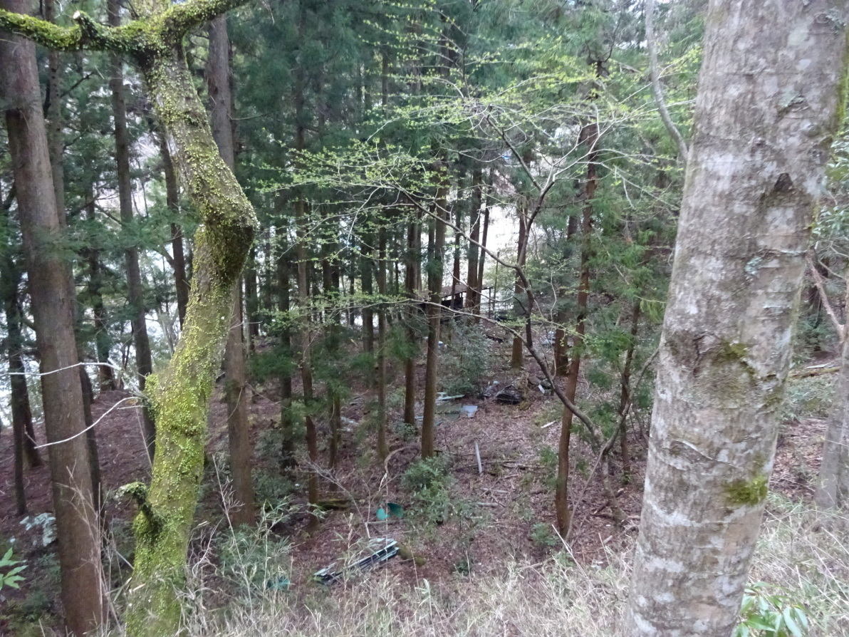 バンガロー跡（二郭）